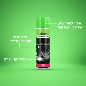 מסיר צבע בספריי