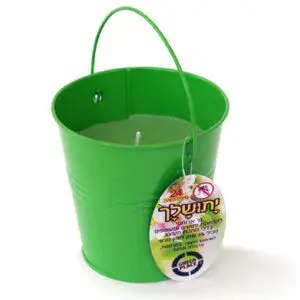 יתושלך | נר דוחה יתושים ל 24 שעות