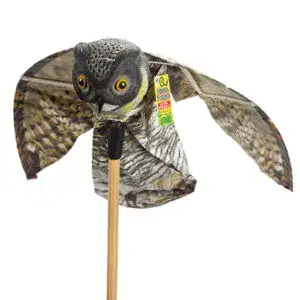 ינשוף פרוש כנפיים | דחליל להרחקת יונים