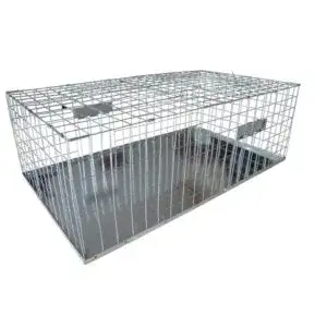 מלכודת יונים הומאנית