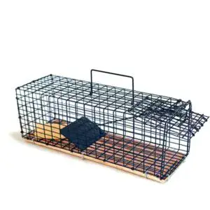 בלאק ממבה | מלכודת מכרסמים הומנית