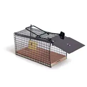 מיני מאוס | מלכודת עכברים הומנית קטנה